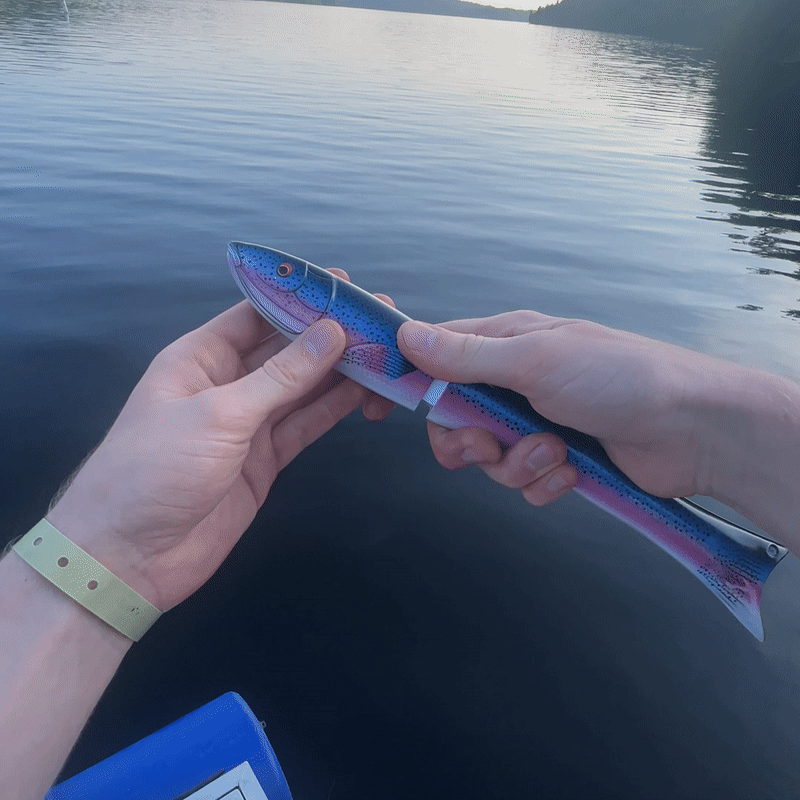 Mini fish-shaped fishing rod