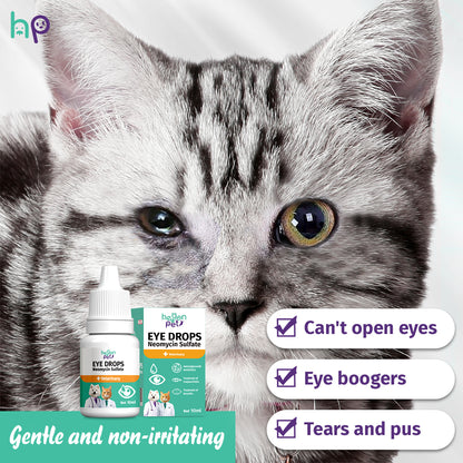 ❤️Pet Eye Care Drops with Neomycin – 10ml