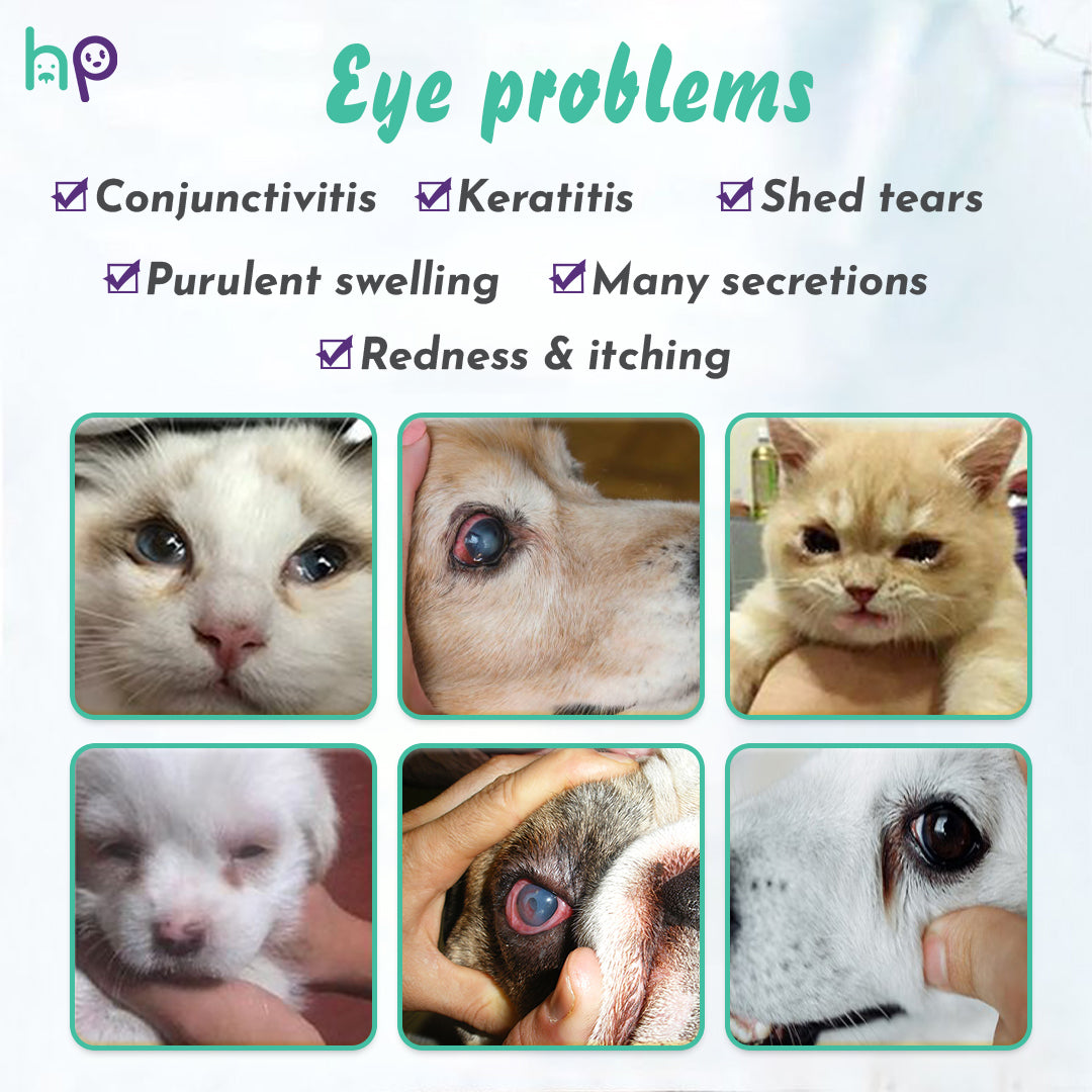 ❤️Pet Eye Care Drops with Neomycin – 10ml