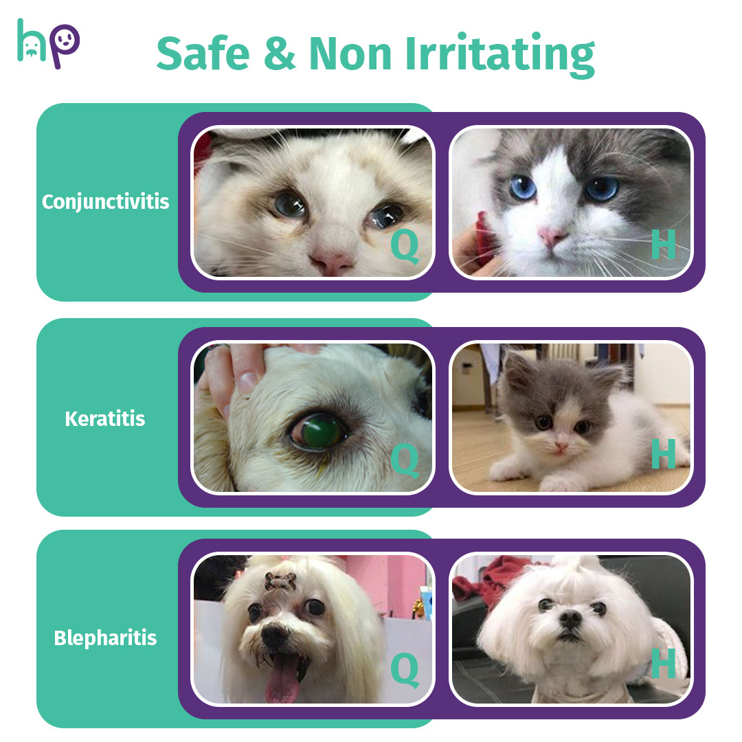 ❤️Pet Eye Care Drops with Neomycin – 10ml