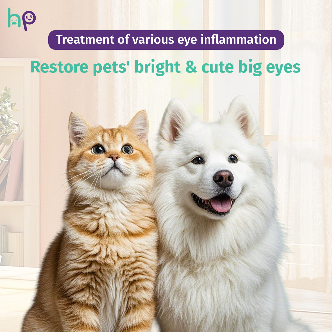 ❤️Pet Eye Care Drops with Neomycin – 10ml