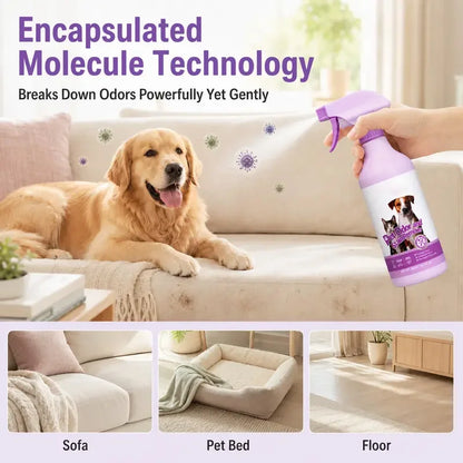 Pet Odor &amp; Stain Remover Spray for Home Surfaces
