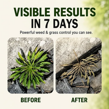 Natural Weed Killer Spray – Fast, Powerful, and Tough on Weeds