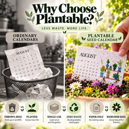 ✨Eco-Friendly Plantable "Timeless" Seed Calendar 2027 🌱Plan•Plant•Grow•EnjoyStyle