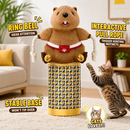 🎁Interactive Cat Wrestling Puppet Toy with Bell &amp; Plush Design