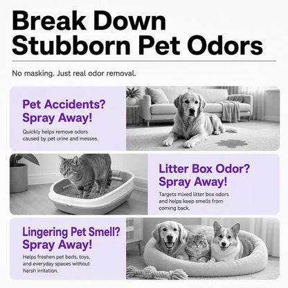 Pet Odor &amp; Stain Remover Spray for Home Surfaces