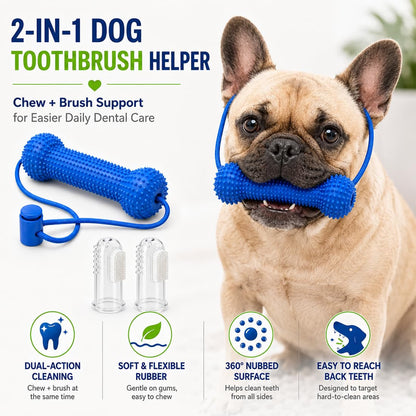 ⭐ Dog Toothbrush Helper – Easier Teeth Cleaning