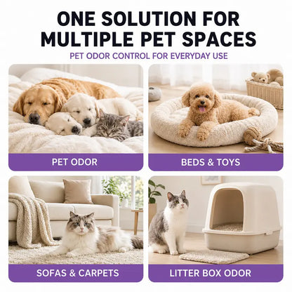 Pet Odor &amp; Stain Remover Spray for Home Surfaces