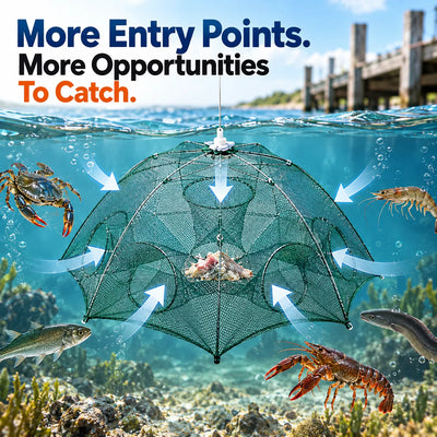 🎁Collapsible Fishing & Crab Trap Net with 6m Rope & Float Ring