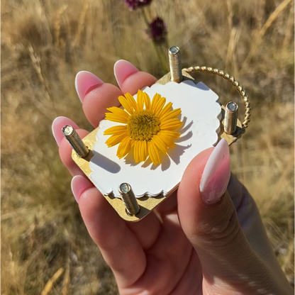 🎉Mini Compact Flower Press for Crafters