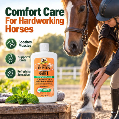 Veterinary Liniment Gel – Soothing Muscle & Joint Care For Horses