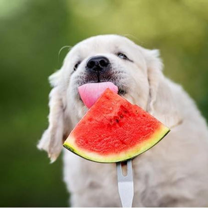 🍉Lazy Man's Watermelon Seeds