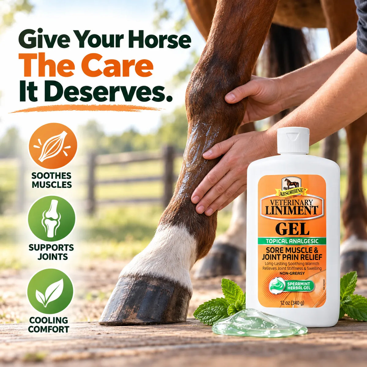 Veterinary Liniment Gel – Soothing Muscle & Joint Care For Horses