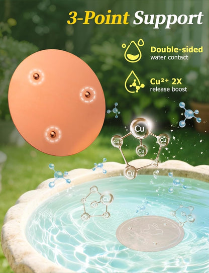 Bird Bath Copper Disk, 0.6mm Reinforced 99.99% Pure Copper Cleaning Disk