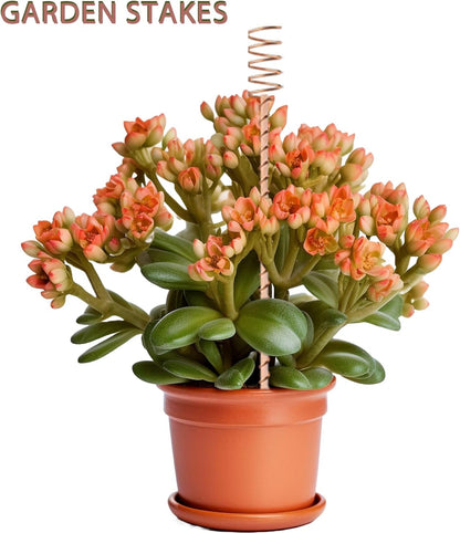 Electroculture Plant Stakes