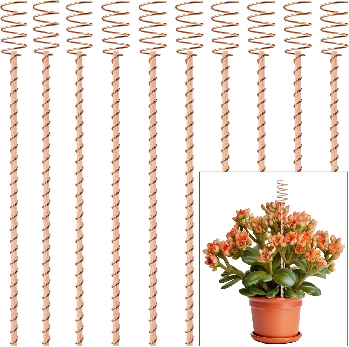 Electroculture Plant Stakes
