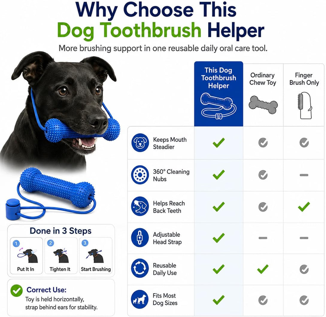 ⭐ Dog Toothbrush Helper – Easier Teeth Cleaning