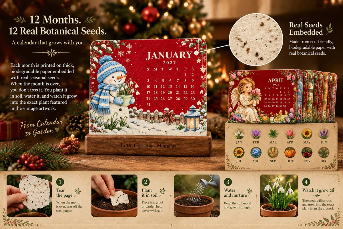 🎉🗓️ Christmas Limited-Edition — 🪴✨ Eco-Friendly Plantable “Timeless” Seed Calendar 2027