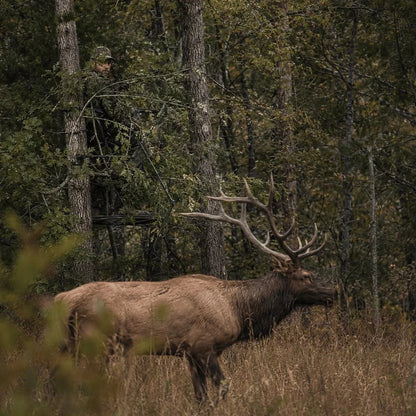 ✨Hunting Concealment Branch Screen Stand