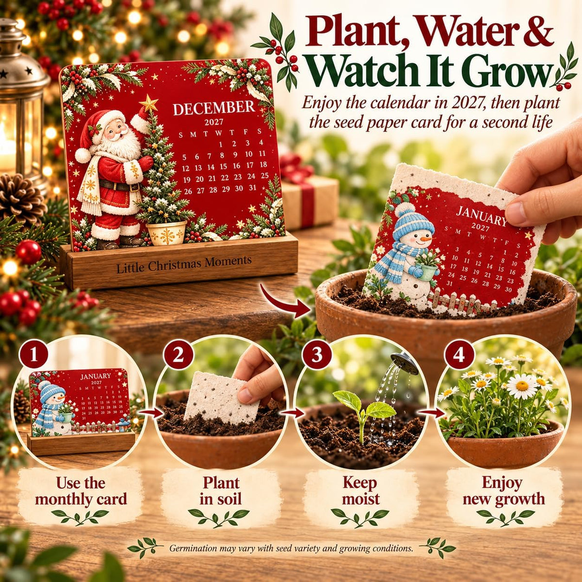 🔥Christmas Plantable ‘Timeless’ Seed Calendar 2027