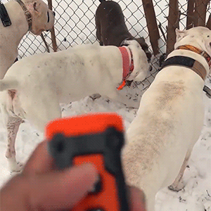 ahuyentador ultrasónico para perros