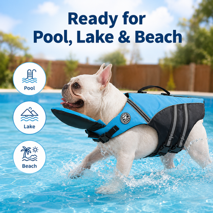 🐶 Keep Your Dog Safer in the Water — Rescue Life Jacket | 49% OFF 🌊