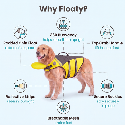 🐶 Keep Your Dog Safer in the Water — Rescue Life Jacket | 49% OFF 🌊