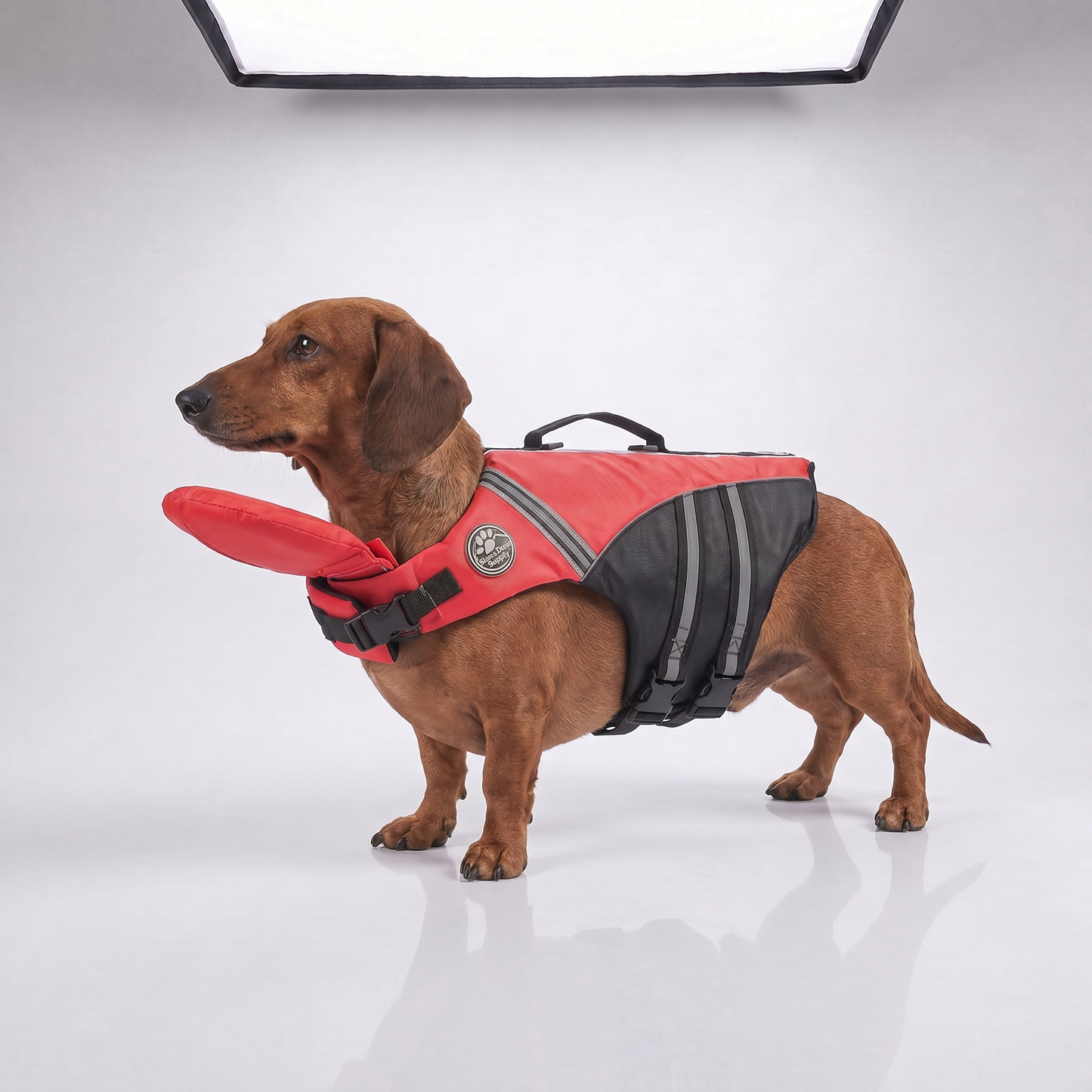 🐶 Keep Your Dog Safer in the Water — Rescue Life Jacket | 49% OFF 🌊