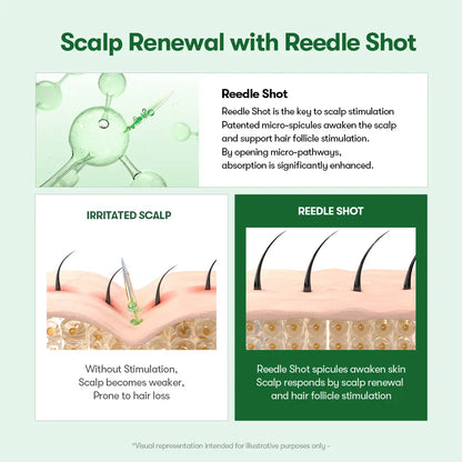 🪮Root-Boosting Scalp Brush Serum – Fuller-Looking Hair & Daily Care