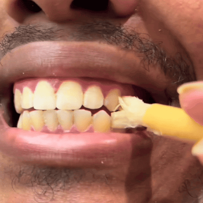 🌿 Natural Miswak Toothbrush – A Simple, Plant-Based Way to Refresh Your Daily Oral Care