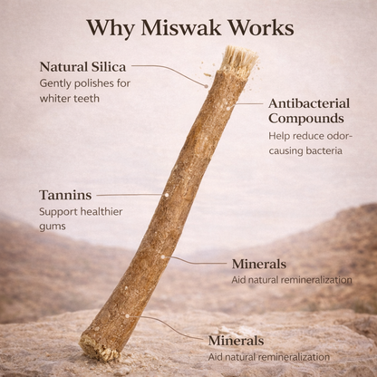 🌿 Natural Miswak Toothbrush – A Simple, Plant-Based Way to Refresh Your Daily Oral Care