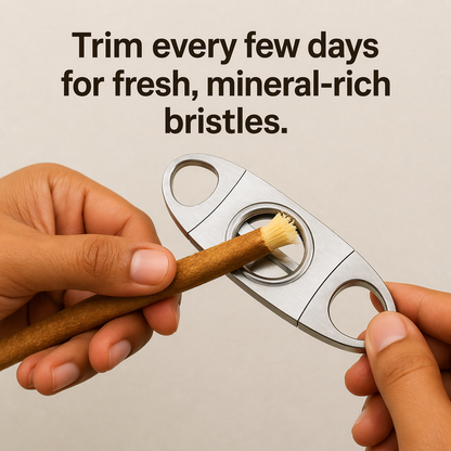 🌿 Natural Miswak Toothbrush – A Simple, Plant-Based Way to Refresh Your Daily Oral Care