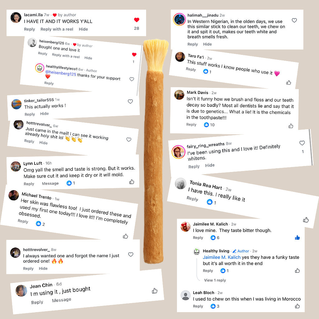 🌿 Natural Miswak Toothbrush – A Simple, Plant-Based Way to Refresh Your Daily Oral Care