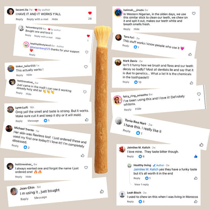🌿 Natural Miswak Toothbrush – A Simple, Plant-Based Way to Refresh Your Daily Oral Care
