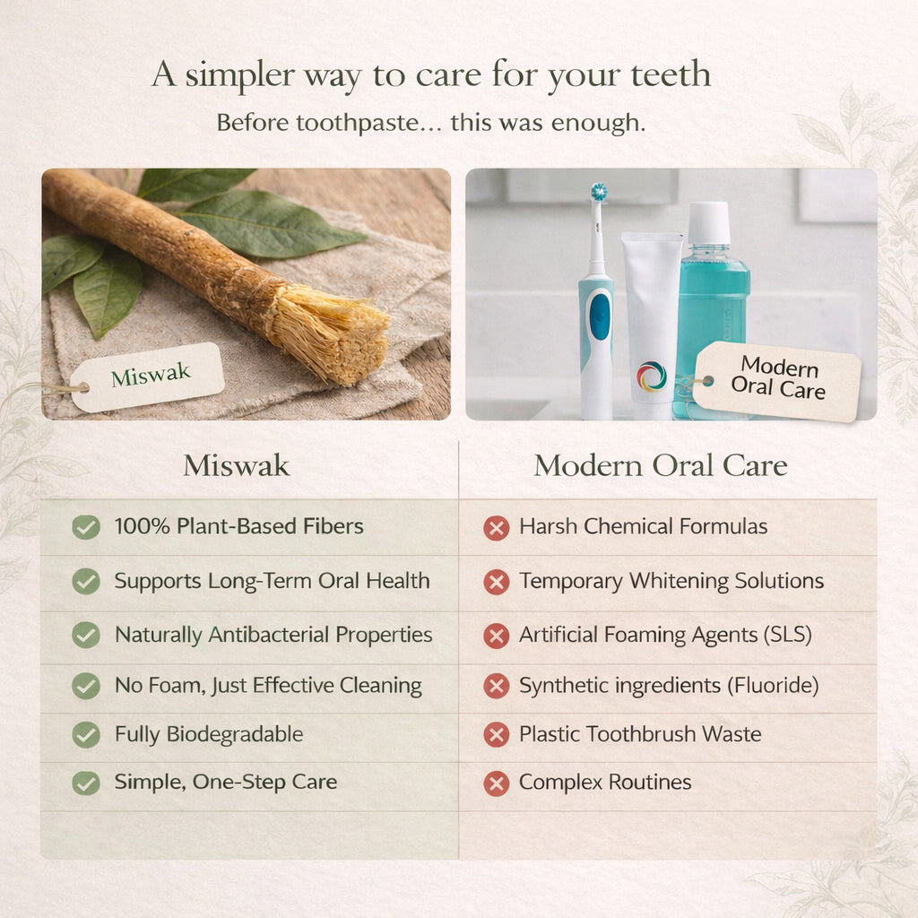 🌿 Natural Miswak Toothbrush – A Simple, Plant-Based Way to Refresh Your Daily Oral Care
