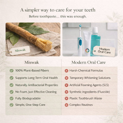 🌿 Natural Miswak Toothbrush – A Simple, Plant-Based Way to Refresh Your Daily Oral Care