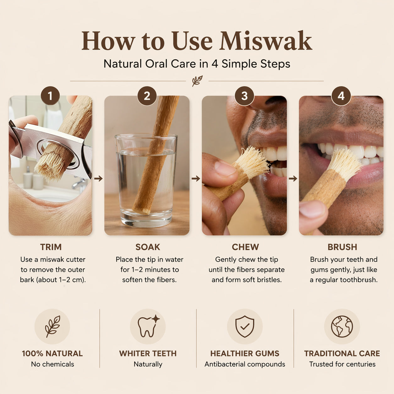 🌿 Natural Miswak Toothbrush – A Simple, Plant-Based Way to Refresh Your Daily Oral Care