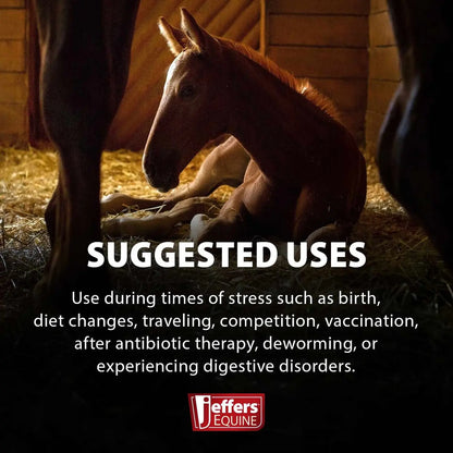 ❤️ Broad-Spectrum Horse Dewormer Gel – Ivermectin 1.87%
