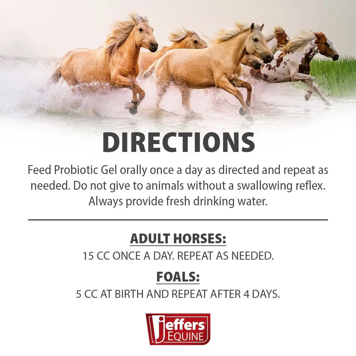 ❤️ Broad-Spectrum Horse Dewormer Gel – Ivermectin 1.87%