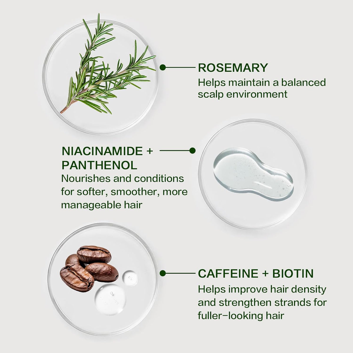 🎀Rosemary Shampoo – Volumizing & Anti-Hair Loss Care