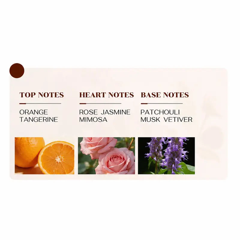 🎉Citrus Bloom Floral Eau de Parfum – Rose, Jasmine & Musk Perfume for Women, 100 mL