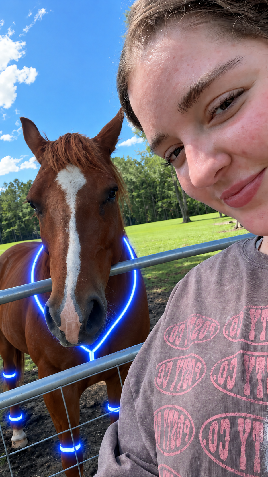 🔥50% OFF🏇LED Horse Night Riding Lights – Full-Body Glow Kit with Enhanced Visibility & 12 Lighting Modes✨