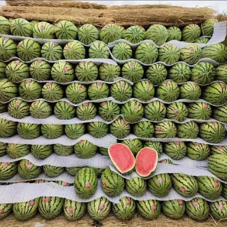 🍉Lazy Man's Watermelon Seeds