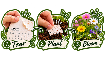 ✨Eco-Friendly Plantable "Timeless" Seed Calendar 2027 🌱Plan•Plant•Grow•EnjoyStyle