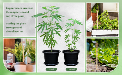 Electroculture Plant Stakes
