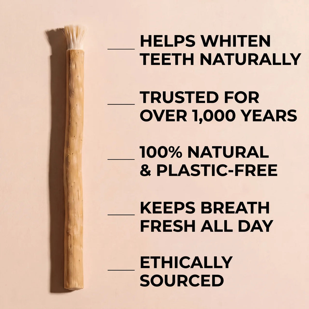 🔥Miswak - Nature's Original Toothbrush