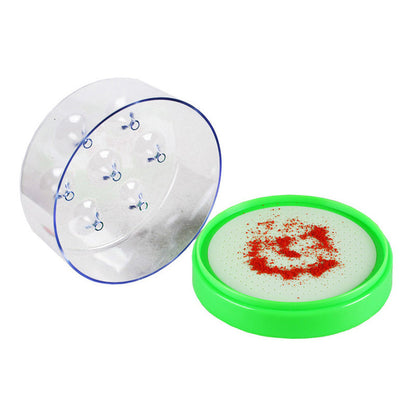 ♻️ Reusable fly trap—no electricity. no poison! 🏠 Safe to use in the kitchen and around children and pets.