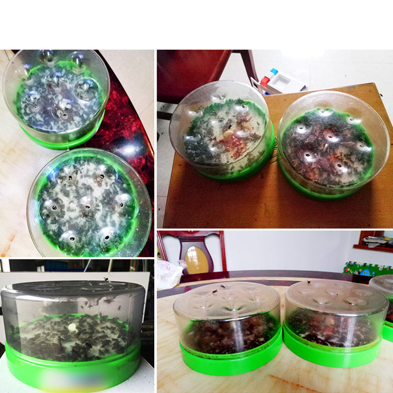 ♻️ Reusable fly trap—no electricity. no poison! 🏠 Safe to use in the kitchen and around children and pets.
